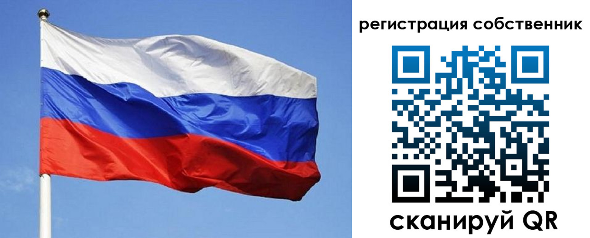 временная регистрация гарантия в Курске